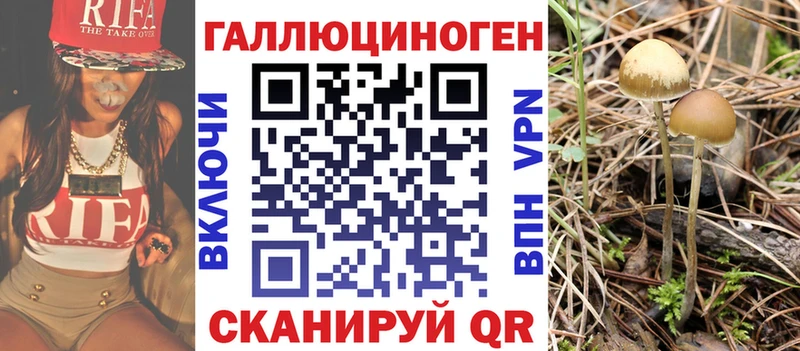 Псилоцибиновые грибы Cubensis  закладки  Асино 