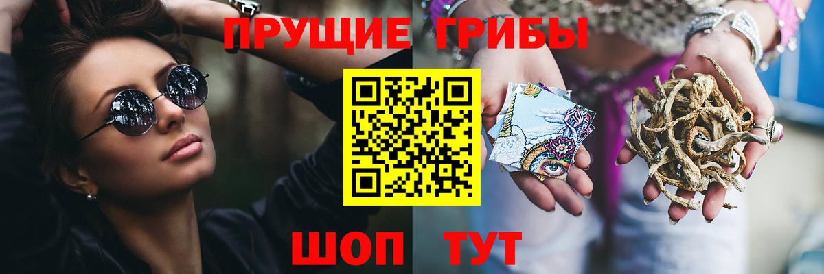 Галлюциногенные грибы Psilocybe Асино